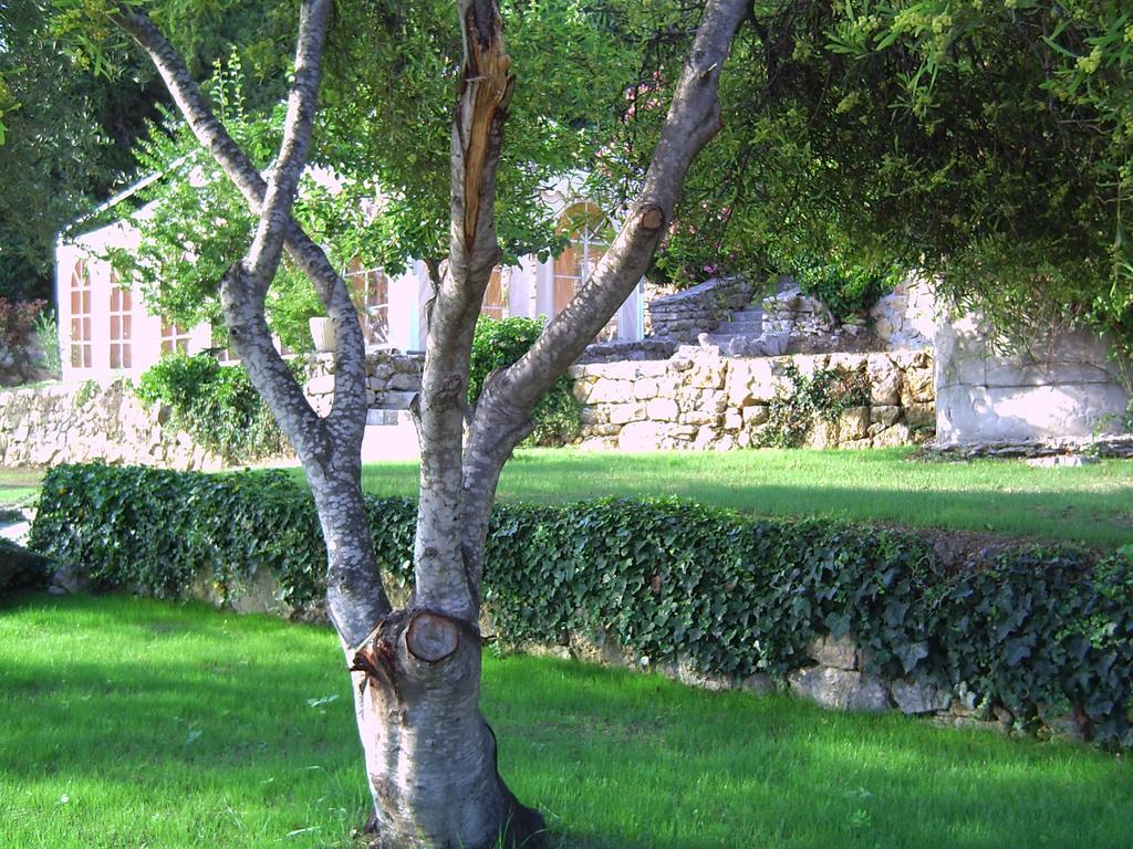 Domaine Du Mont Leuze Villa Villefranche-sur-Mer Bagian luar foto